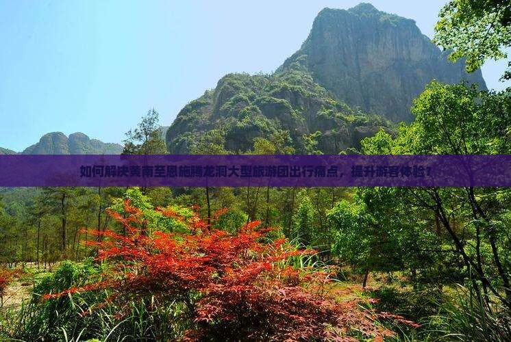 如何解决黄南至恩施腾龙洞大型旅游团出行痛点，提升游客体验？