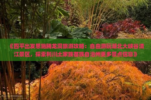 《四平出发恩施腾龙洞旅游攻略：自由游玩湖北大峡谷清江景区，探索利川土家族苗族自治州更多景点信息》