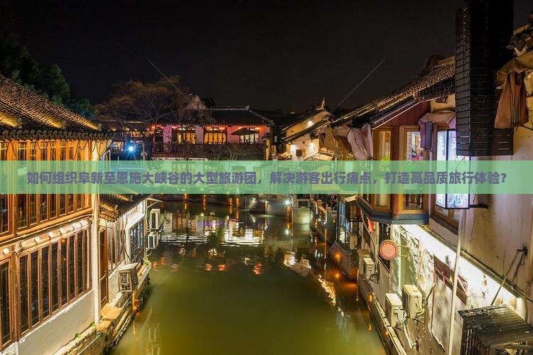如何组织阜新至恩施大峡谷的大型旅游团，解决游客出行痛点，打造高品质旅行体验？