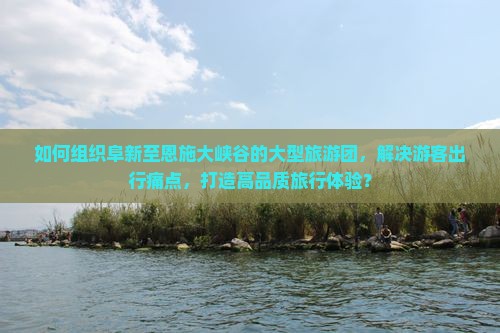 如何组织阜新至恩施大峡谷的大型旅游团，解决游客出行痛点，打造高品质旅行体验？