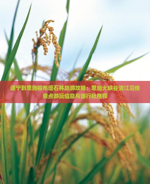 遂宁到恩施梭布垭石林旅游攻略：恩施大峡谷清江沿线景点游玩信息与旅行社推荐