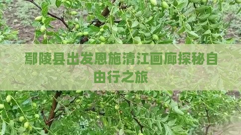鄢陵县出发恩施清江画廊探秘自由行之旅