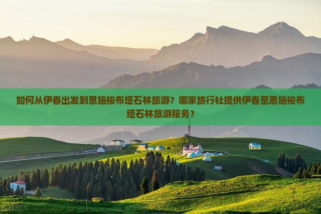 如何从伊春出发到恩施梭布垭石林旅游？哪家旅行社提供伊春至恩施梭布垭石林旅游服务？
