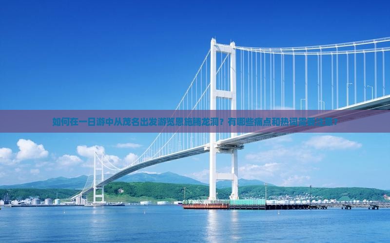 如何在一日游中从茂名出发游览恩施腾龙洞？有哪些痛点和热词需要注意？