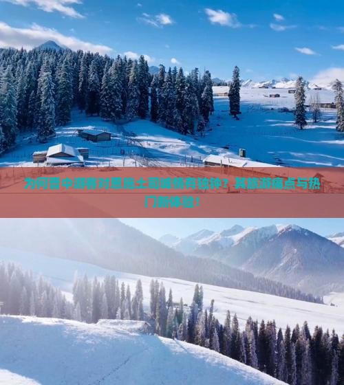 为何晋中游客对恩施土司城情有独钟？其旅游痛点与热门新体验！