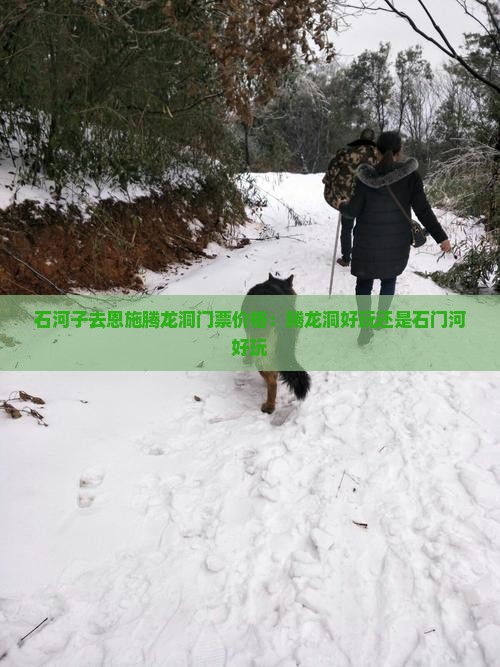 石河子去恩施腾龙洞门票价格：腾龙洞好玩还是石门河好玩