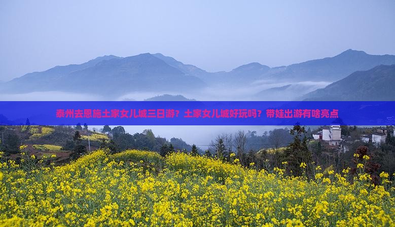 泰州去恩施土家女儿城三日游？土家女儿城好玩吗？带娃出游有啥亮点