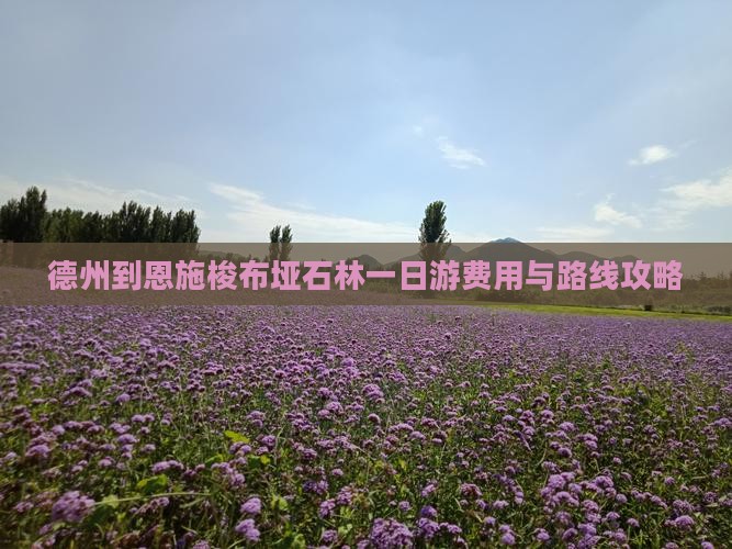 德州到恩施梭布垭石林一日游费用与路线攻略