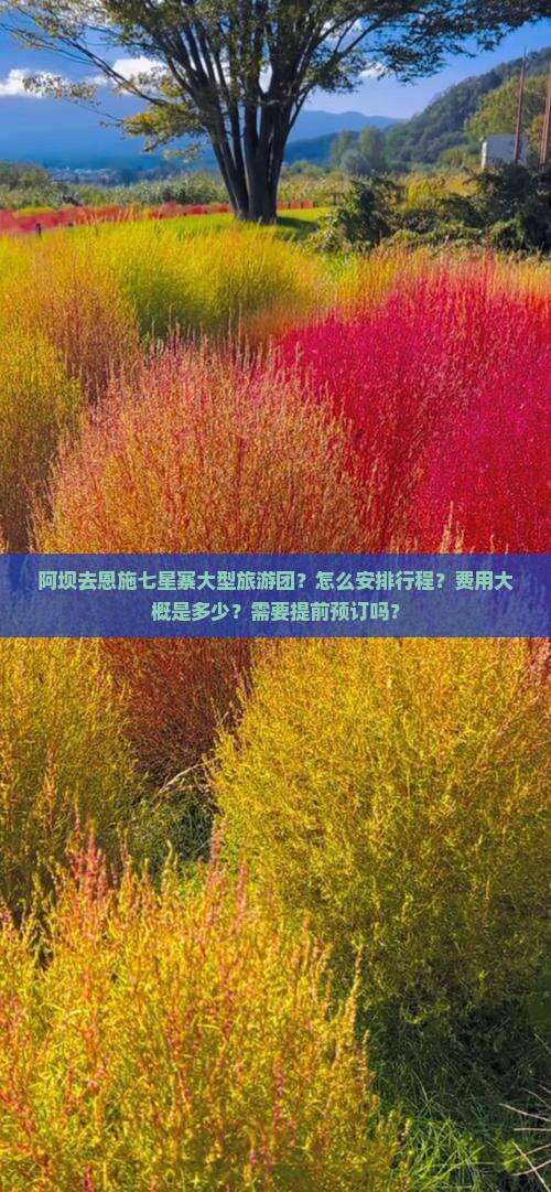 阿坝去恩施七星寨大型旅游团？怎么安排行程？费用大概是多少？需要提前预订吗？