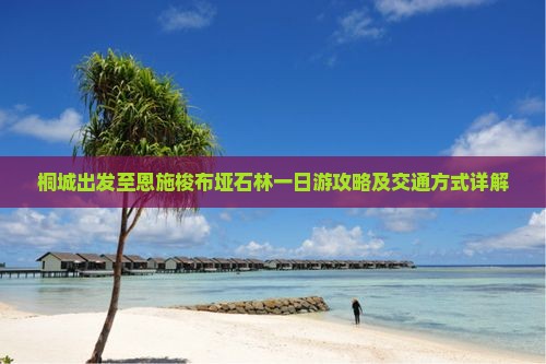 桐城出发至恩施梭布垭石林一日游攻略及交通方式详解
