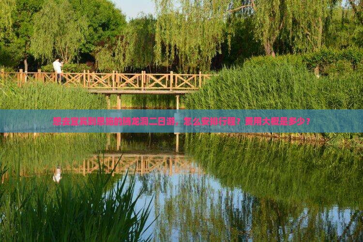 想去宜宾到恩施的腾龙洞二日游，怎么安排行程？费用大概是多少？