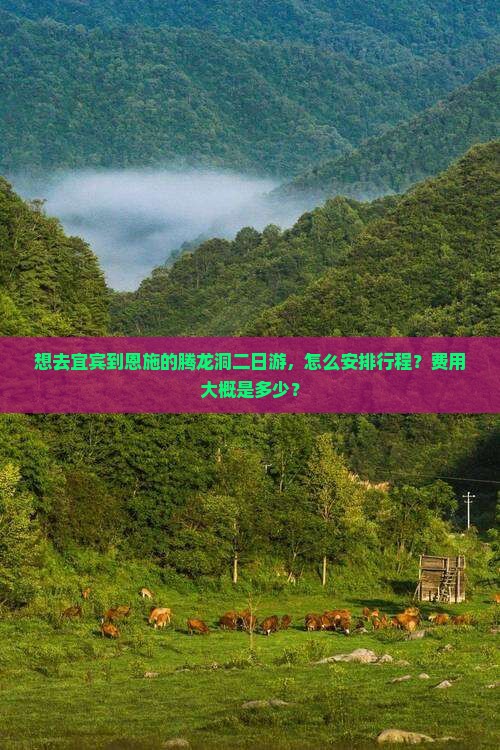 想去宜宾到恩施的腾龙洞二日游，怎么安排行程？费用大概是多少？