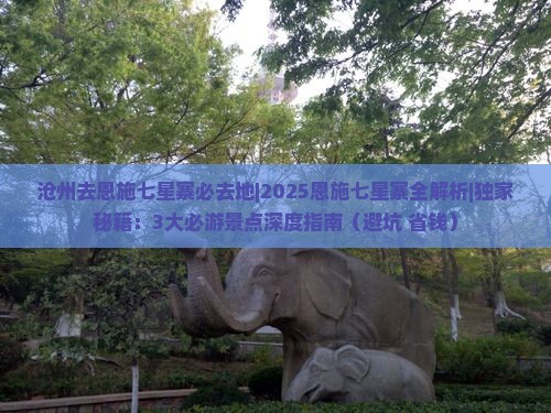 沧州去恩施七星寨必去地