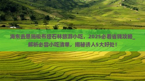 海东去恩施梭布垭石林旅游小吃