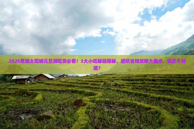 元旦到恩施土司城旅游小吃