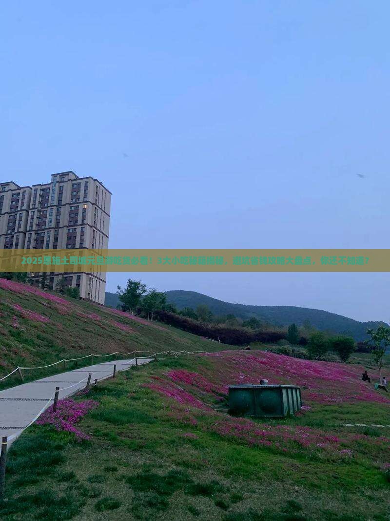 元旦到恩施土司城旅游小吃