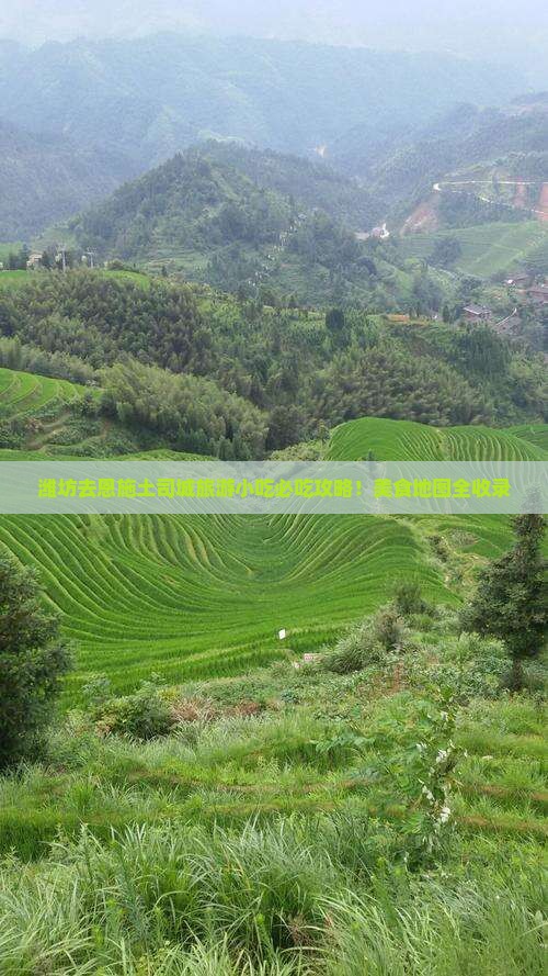 潍坊去恩施土司城旅游小吃
