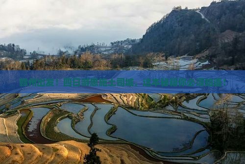 赣州到恩施土司城四日游