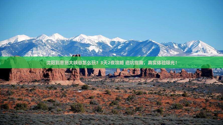 沈阳到恩施大峡谷旅行社