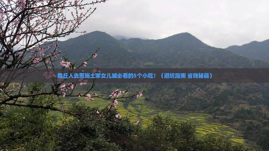 商丘去恩施土家女儿城旅游小吃