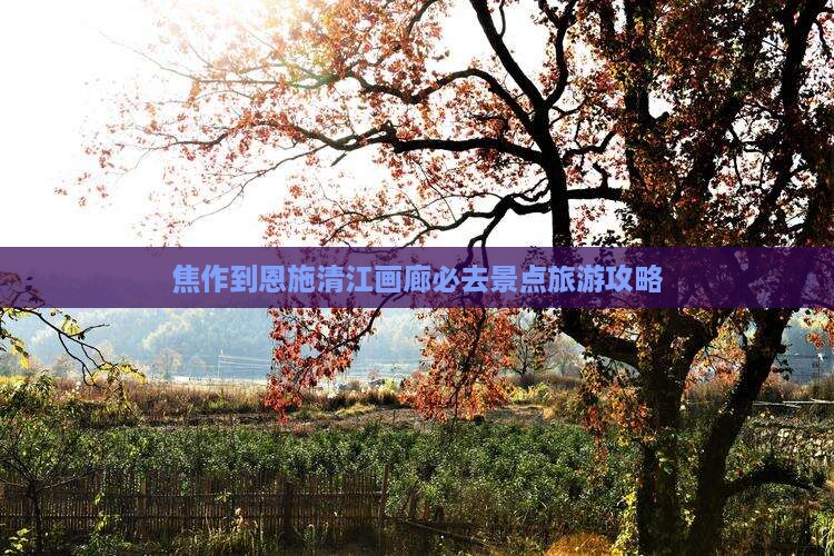 焦作到恩施清江画廊必去地