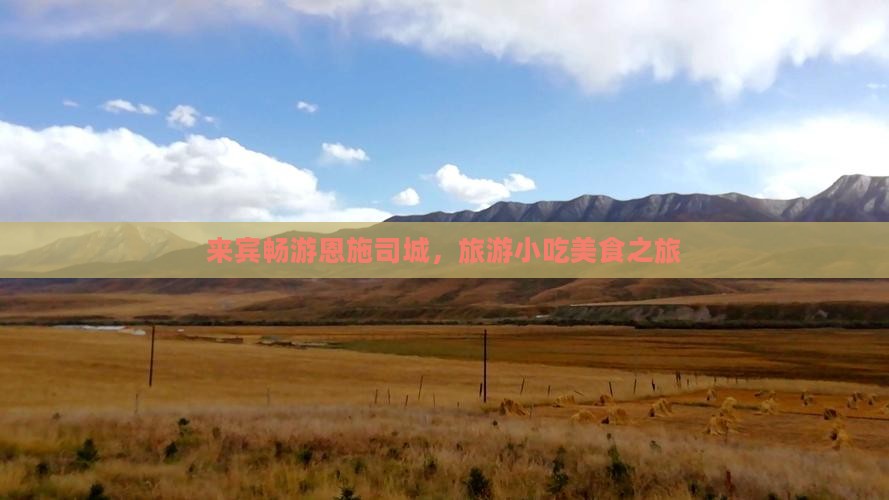 来宾去恩施土司城旅游小吃