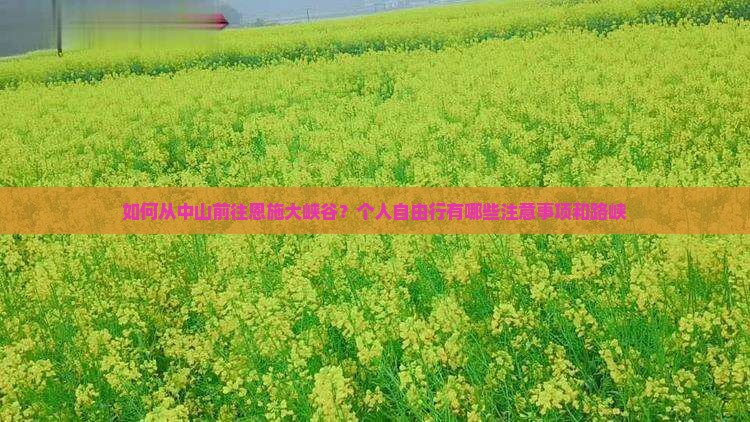 如何从中山前往恩施大峡谷？个人自由行有哪些注意事项和路峡