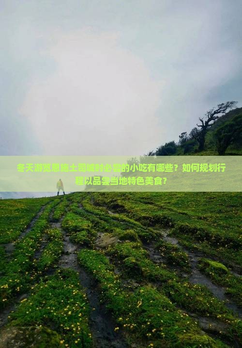 冬天游览恩施土司城时必尝的小吃有哪些？如何规划行程以品尝当地特色美食？