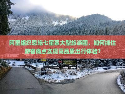 阿里组织恩施七星寨大型旅游团，如何抓住游客痛点实现高品质出行体验？