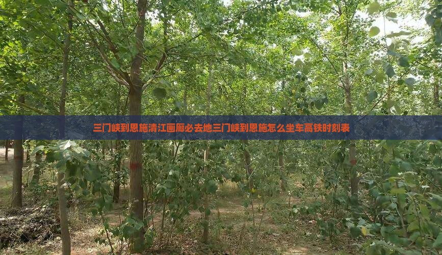 三门峡到恩施清江画廊必去地三门峡到恩施怎么坐车高铁时刻表