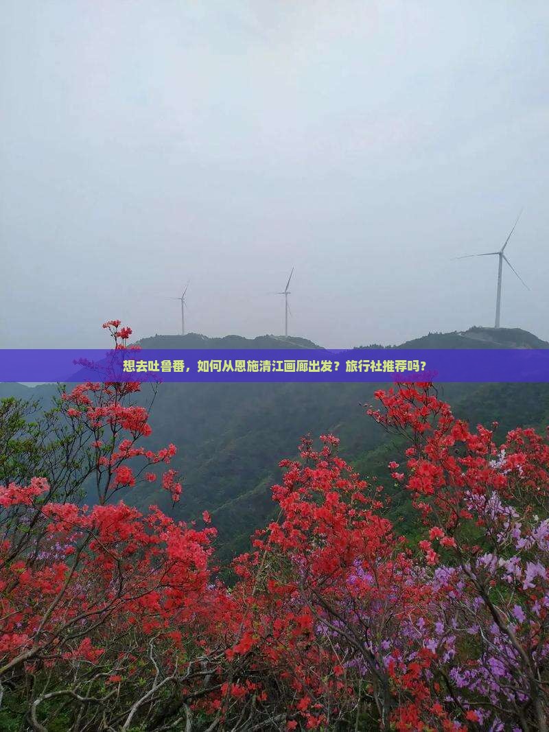想去吐鲁番，如何从恩施清江画廊出发？旅行社推荐吗？