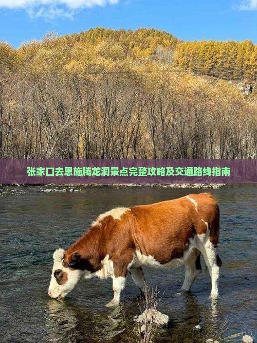张家口去恩施腾龙洞景点完整攻略及交通路线指南
