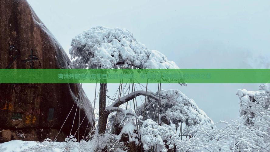 菏泽到恩施腾龙洞自由旅游攻略：探寻景点与腾龙洞的奇妙之旅