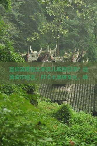 宜宾去恩施土家女儿城四日游？远离城市喧嚣，打卡土家族文化，种草乡村旅游新模式