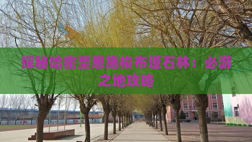 探秘哈密至恩施梭布垭石林：必游之地攻略