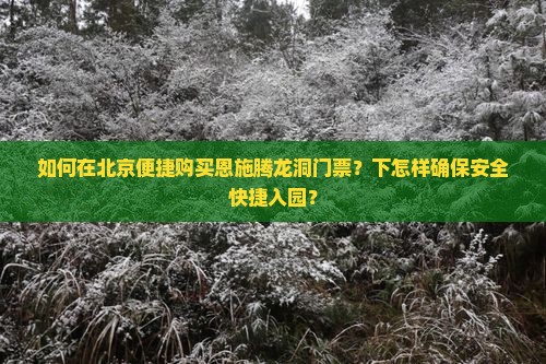 如何在北京便捷购买恩施腾龙洞门票？下怎样确保安全快捷入园？