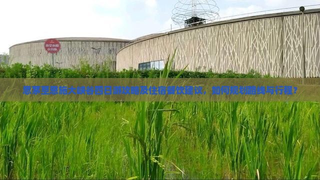 思茅至恩施大峡谷四日游攻略及住宿餐饮建议，如何规划路线与行程？