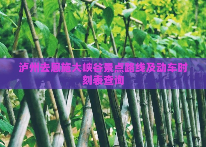 泸州去恩施大峡谷景点路线及动车时刻表查询