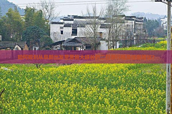 如何规划从阜新出发至恩施大峡谷的二日游行程及住宿建议？