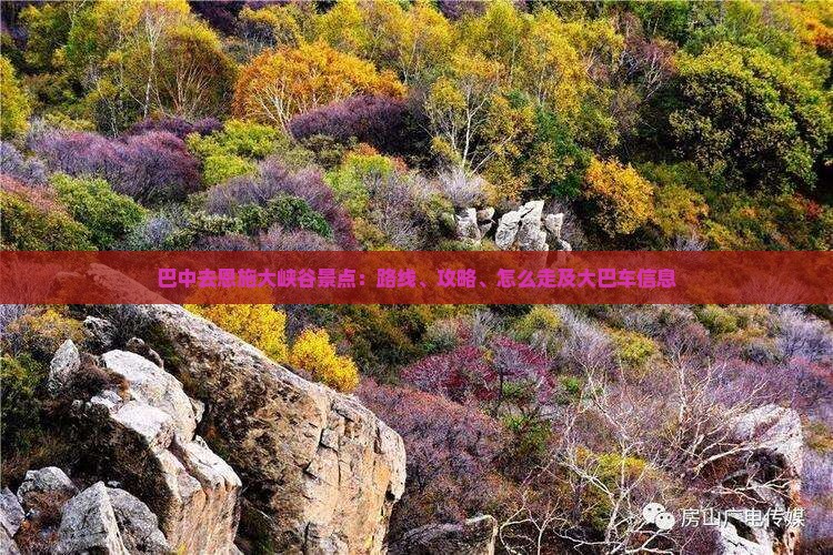 巴中去恩施大峡谷景点：路线、攻略、怎么走及大巴车信息