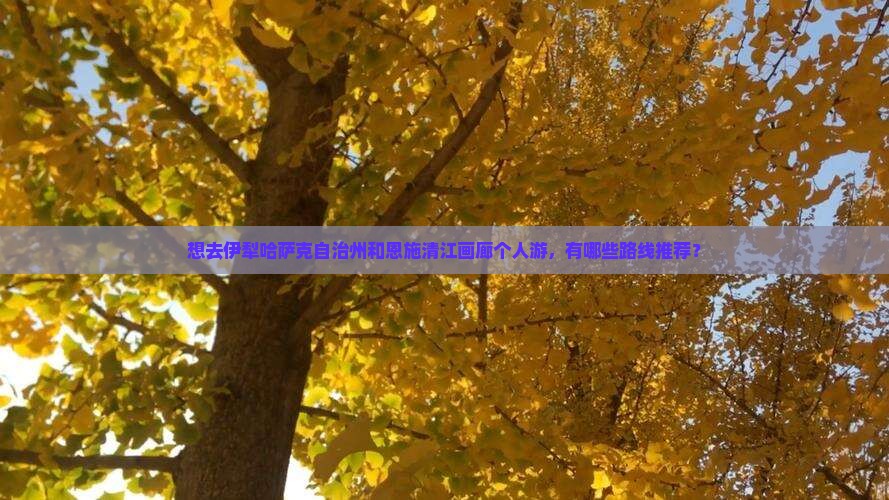 想去伊犁哈萨克自治州和恩施清江画廊个人游，有哪些路线推荐？