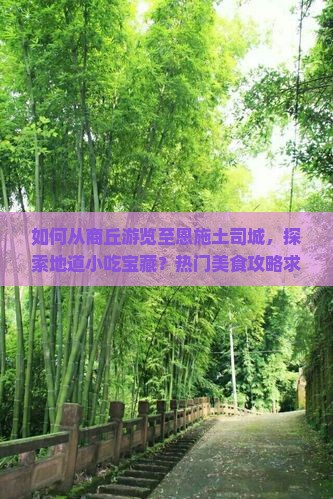 如何从商丘游览至恩施土司城，探索地道小吃宝藏？热门美食攻略求解！