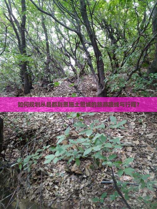 如何规划从昌都到恩施土司城的旅游路线与行程？