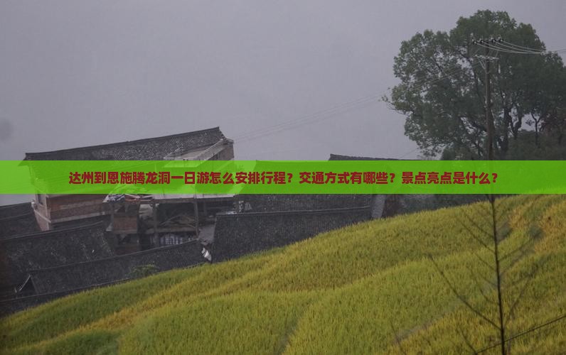 达州到恩施腾龙洞一日游怎么安排行程？交通方式有哪些？景点亮点是什么？