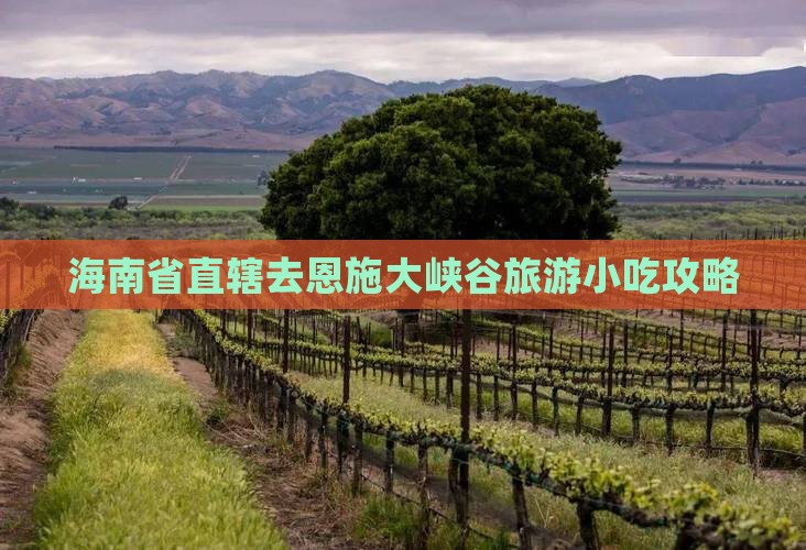 海南省直辖去恩施大峡谷旅游小吃攻略
