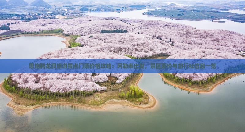恩施腾龙洞旅游景点门票价格攻略：阿勒泰出发，景区票价与旅行社信息一览