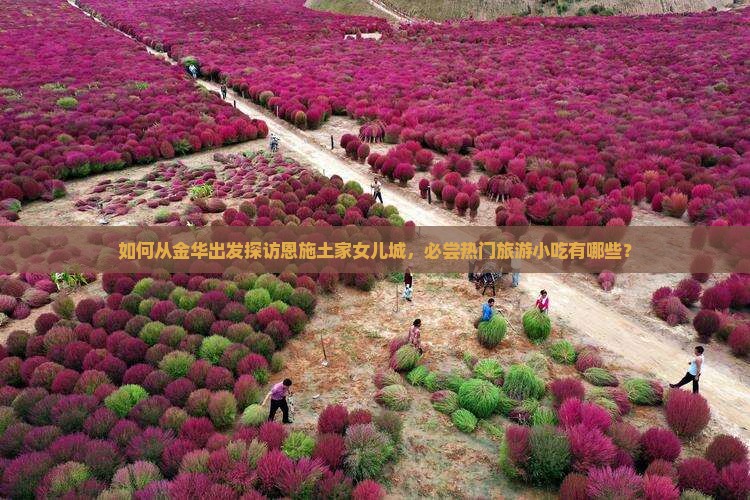 如何从金华出发探访恩施土家女儿城，必尝热门旅游小吃有哪些？