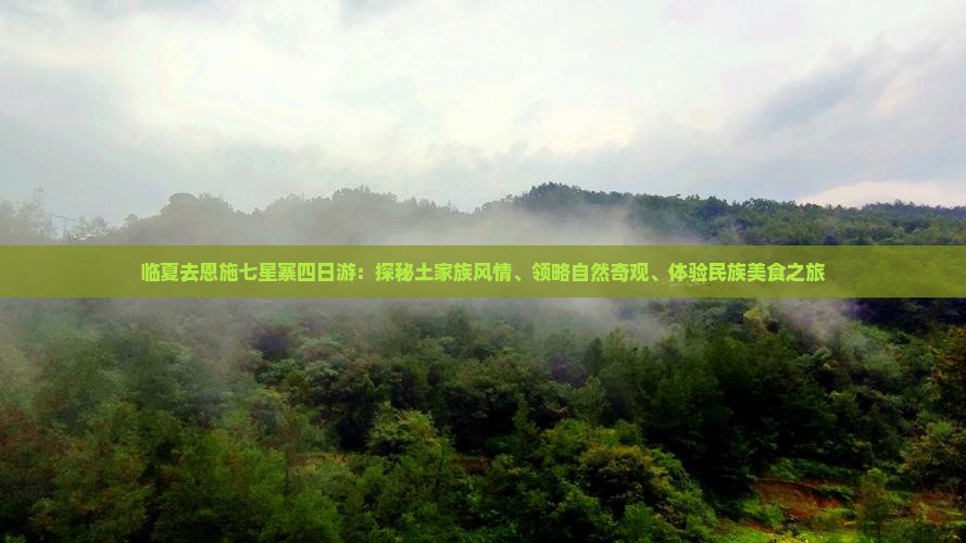 临夏去恩施七星寨四日游：探秘土家族风情、领略自然奇观、体验民族美食之旅