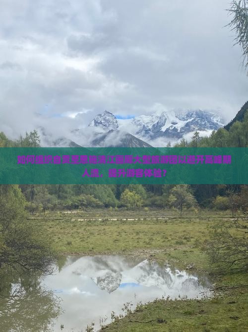 如何组织自贡至恩施清江画廊大型旅游团以避开高峰期人流，提升游客体验？