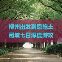 柳州出发到恩施土司城七日深度游攻略及行程安排是怎样的？